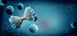 15. Targeted Cancer Therapies