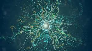 12. Data Science & Big Data Analytics