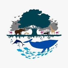 2. Biodiversity, Conservation & Ecology