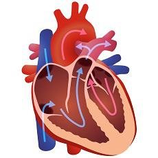10. Valvular Heart Disease