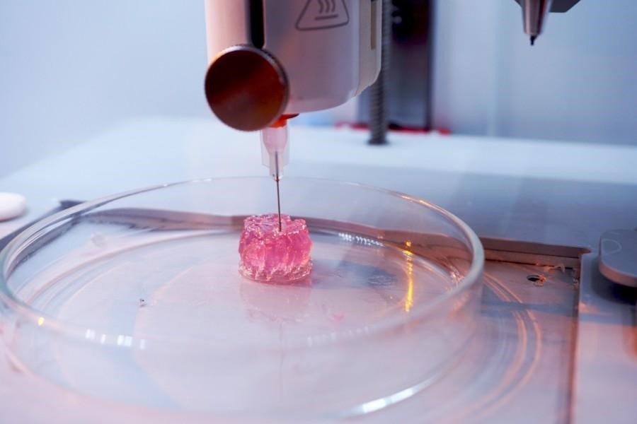 2. Biomaterials, Bioinks & Scaffold Design