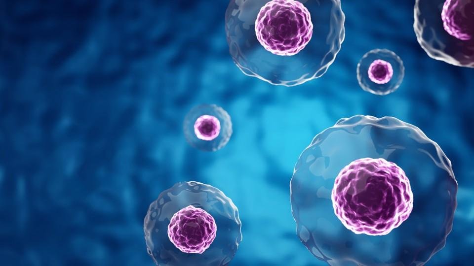 5. Bioinformatics and AI in Rare Diseases