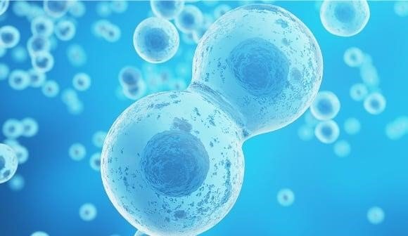 4. Stem Cells & Cell-Based Therapies