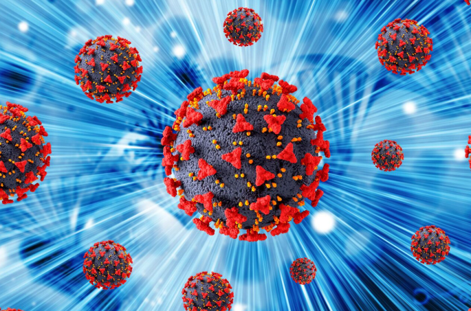 14. Immunotherapy & Cancer Pharmacology