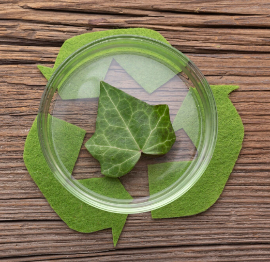 20. Future Directions: Sustainable & Green Pharmacology