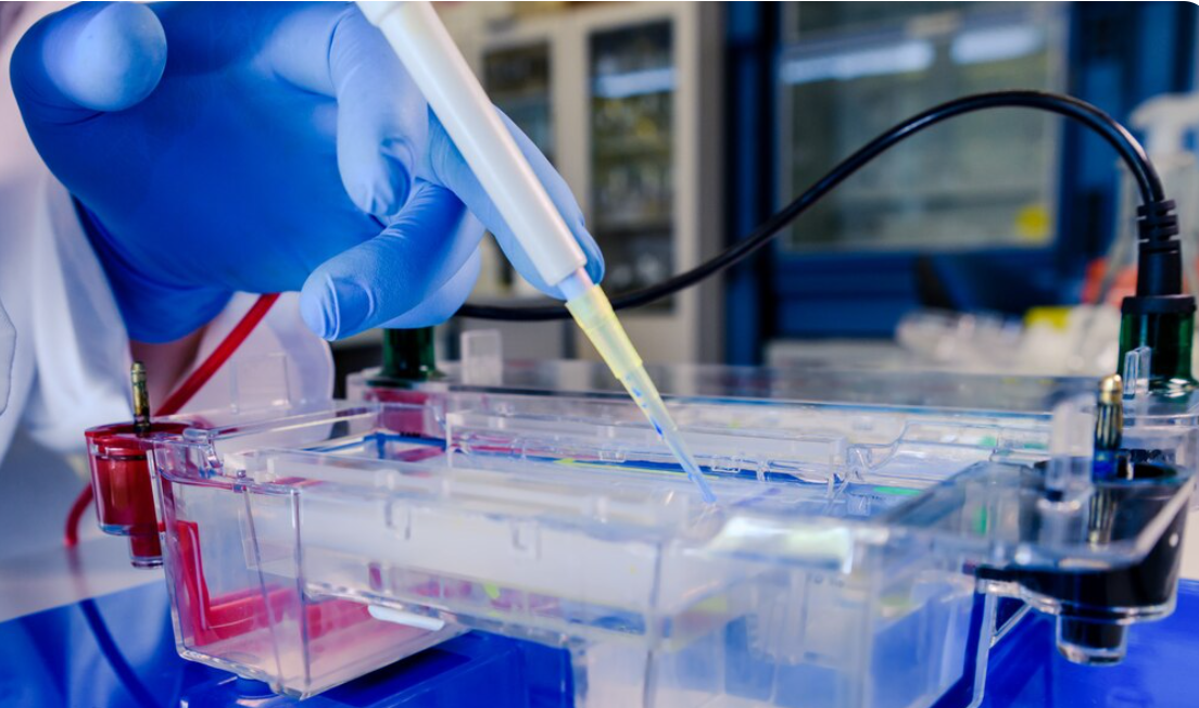 17. In Situ Bioprinting Applications