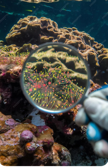 6. Marine Microbiology and Ocean Health