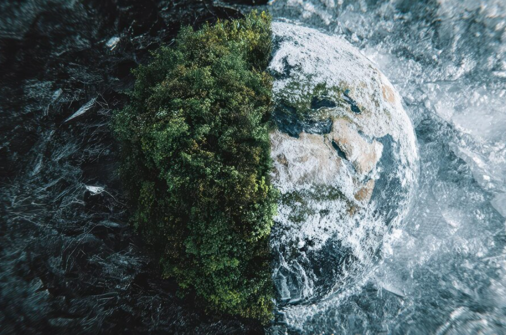 17. Climate Change, Resilience and Sustainability