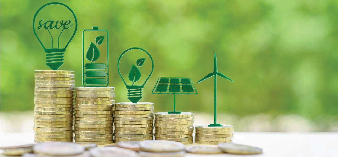 16. Renewable Energy Policy and Green Finance