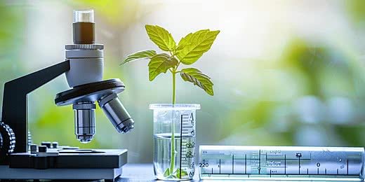 3. Crop Science, Plant Breeding and Genetic Improvement