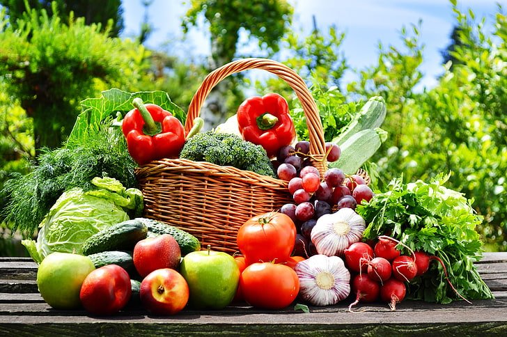 8. Organic Farming, Agroecology and Sustainable Food Production