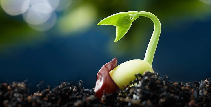 9. Vertical Farming and Controlled Environment Agriculture