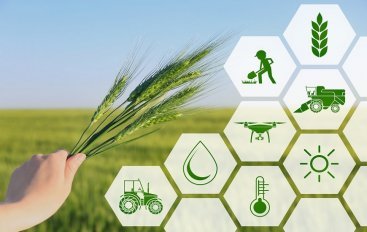 13. Agricultural Economics, Policy and Rural Development
