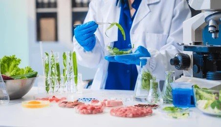 2. Food Microbiology and Safety
