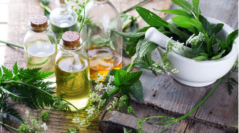3. Medicinal Plants and Herbal Therapeutics