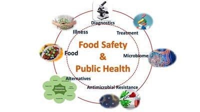 19. Food Security and Public Health