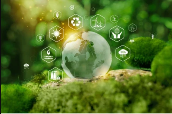 17. Indigenous Knowledge & Community-Led Sustainability