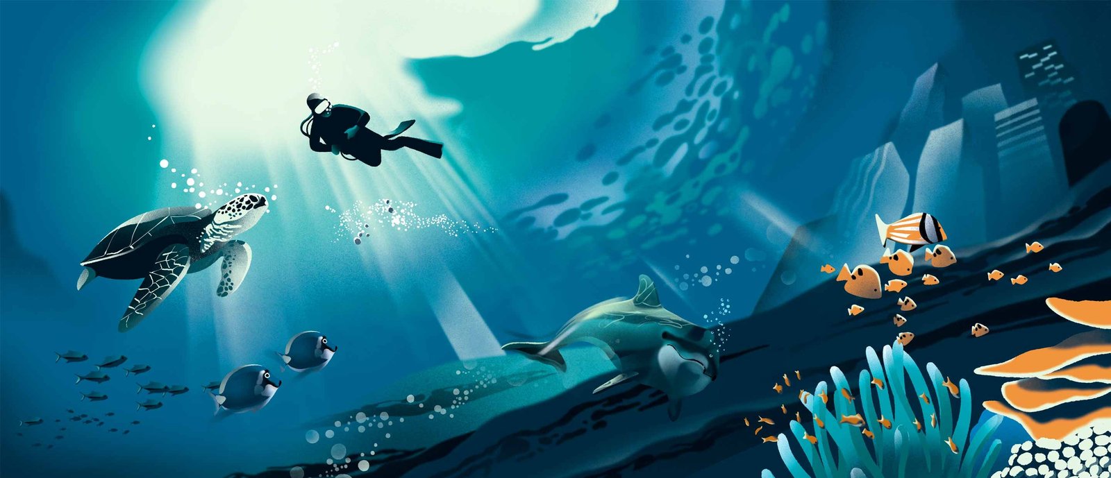 13. Ocean Sustainability & Blue Economy