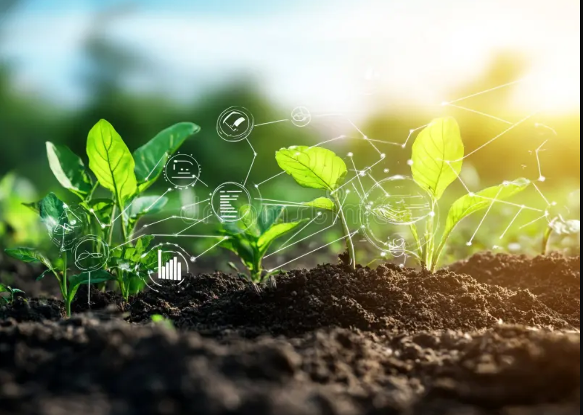 9. Sustainable Agriculture & Food Security