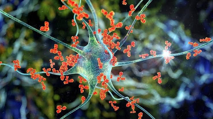 12. Immunology and Autoimmune Disorders