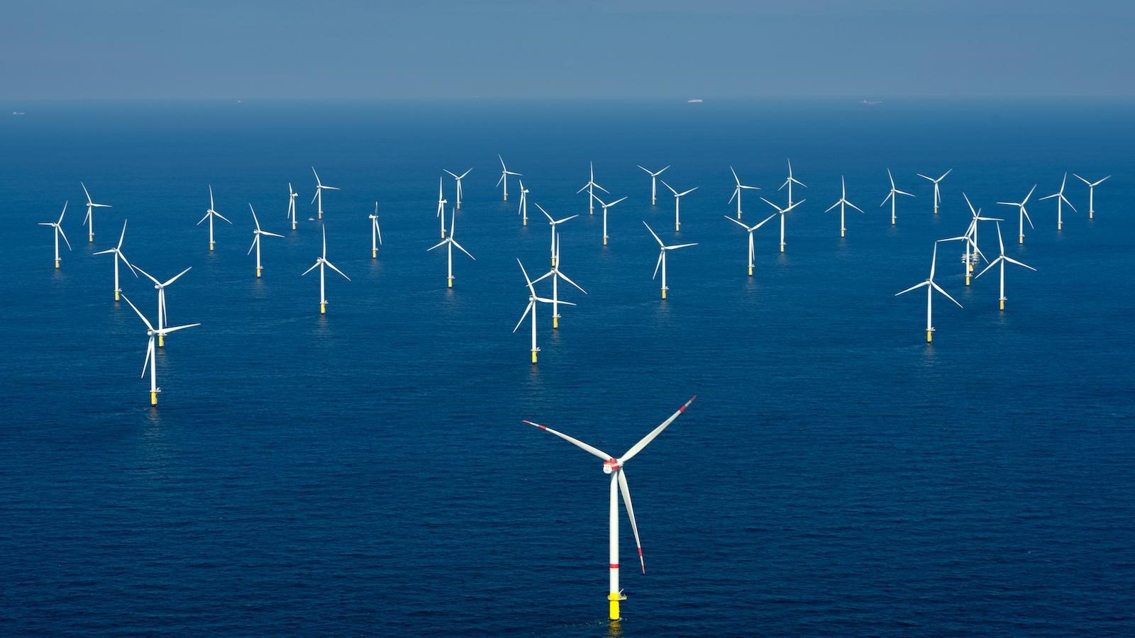 12. Marine Renewable Energy