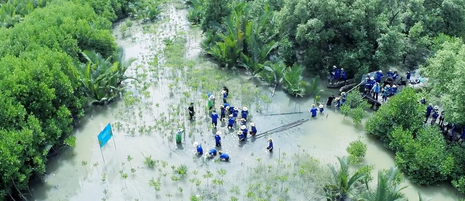 13. Coastal Ecosystem Restoration