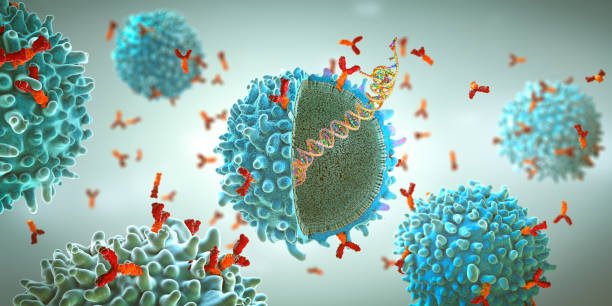 12. Cancer Immunology & Immunotherapy