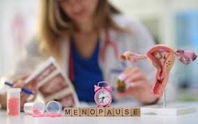 7. Menopause & Midlife Health