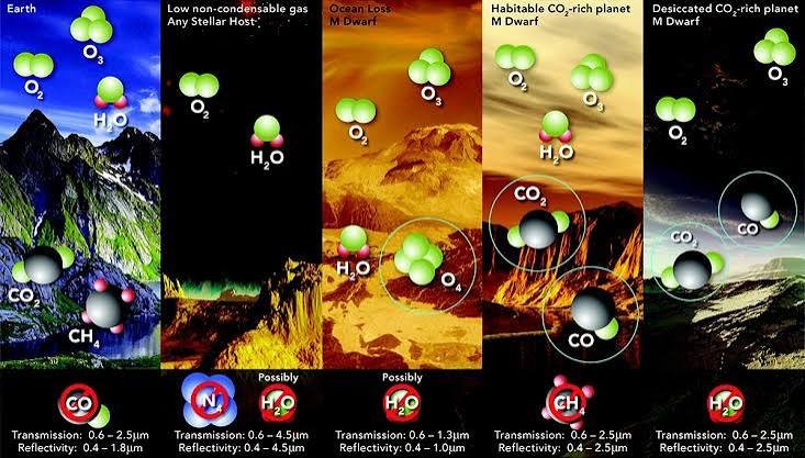 Exoplanets, Biosignatures & Habitability