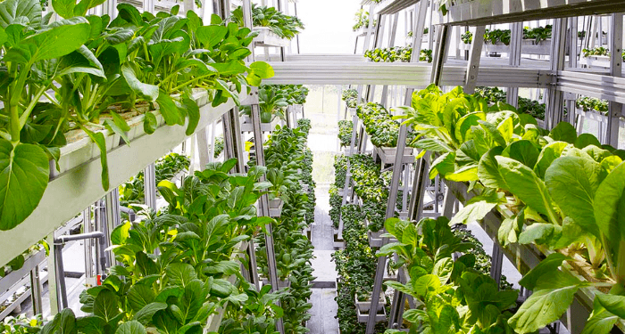 9. Vertical Farming and Controlled Environment Agriculture