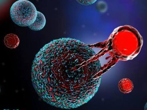 CAR-T Cell Therapy and Next-Generation Cellular Immunotherapies