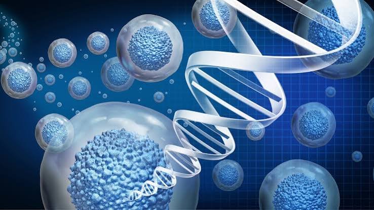 Regenerative Medicine and Tissue Engineering