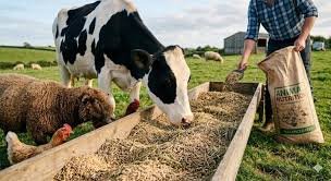 2. Animal Nutrition and Feed Technology