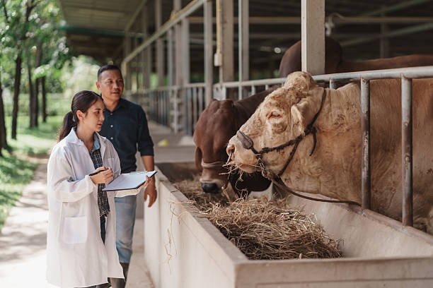 3. Animal Genetics, Breeding and Reproduction