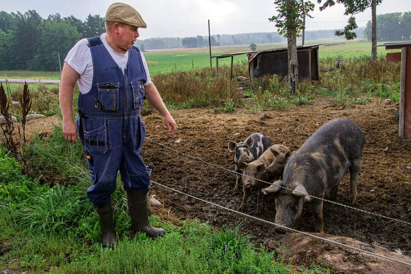 13. One Health, Zoonoses and Food Safety