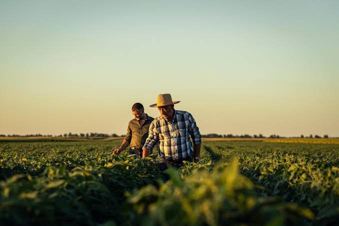 15. Smallholder Farming, Livelihoods and Livestock Economics 
